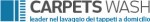 carpetswash-logo